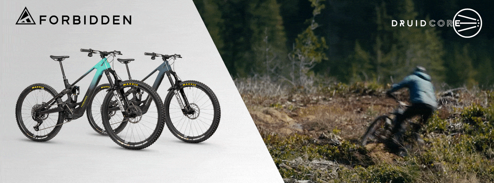 FORBIDDEN Druid E Core